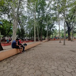 unnamed - 2025-09-02T113525.708